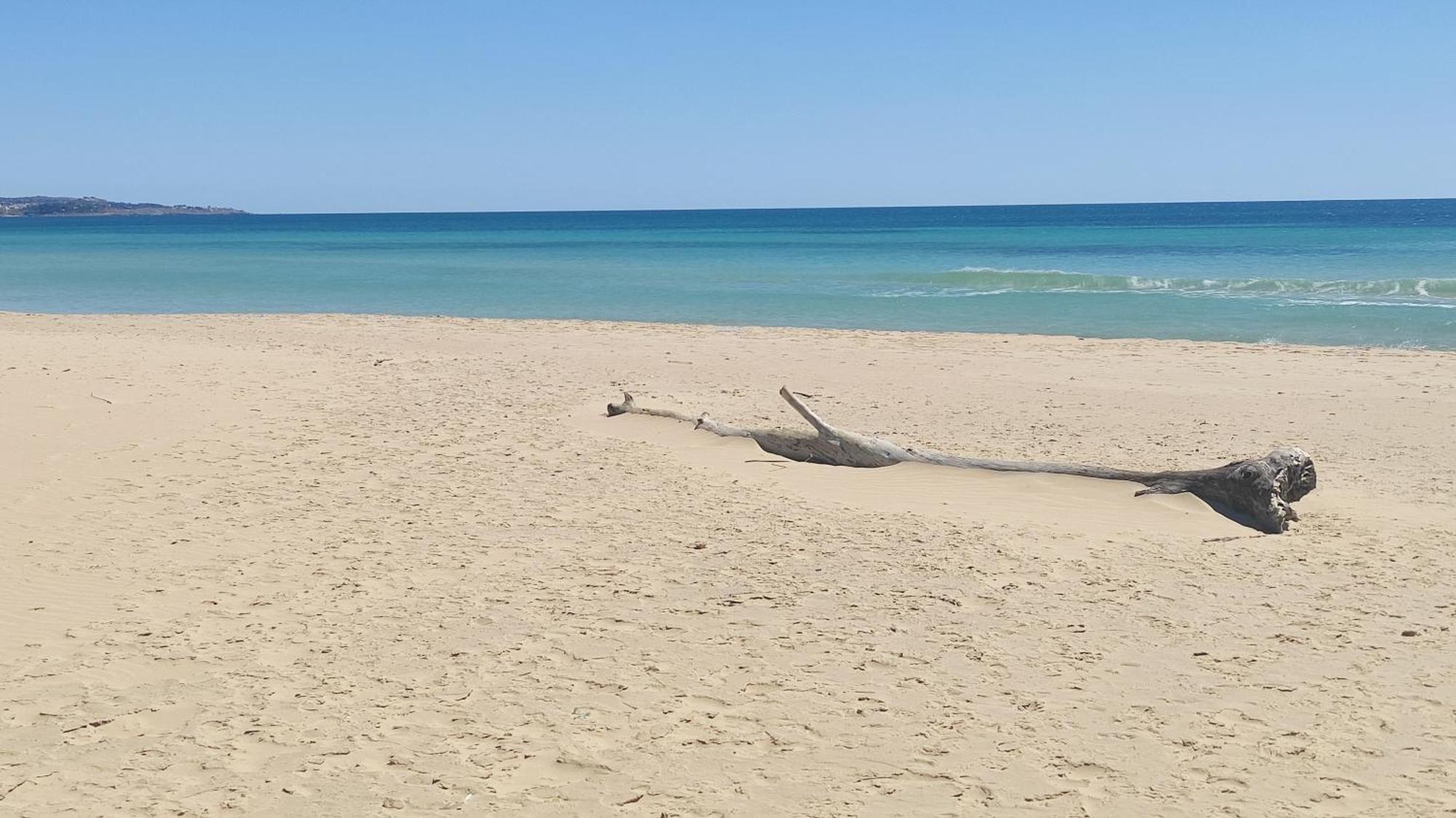 Picchio Hotel Pescoluse Marina Di Pescoluse Ngoại thất bức ảnh
